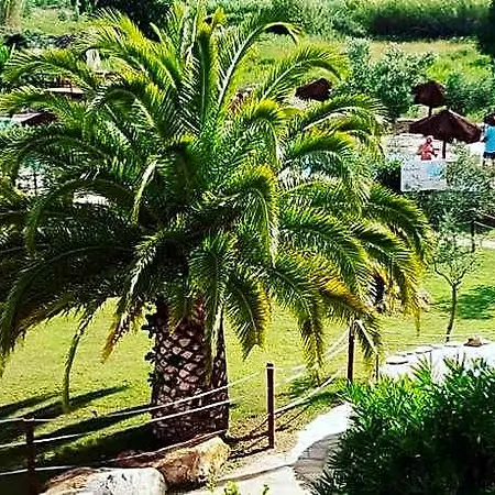 Dolores 5* CAMPO NELL'ELBA